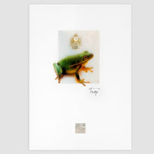 Load image into Gallery viewer, FROG GREETING CARD
