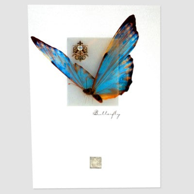 BUTTERFLY GREETING CARD