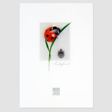 Load image into Gallery viewer, LADYBIRD GREETING CARD
